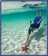 extreme_beach_party_025325198