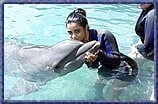 dolphin_encounter_017014007