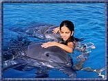 dolphin_encounter_026340922