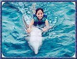 dolphin_royal_swim_024434722