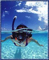 Galeria Vela, Esnórquel y Fiesta en la Playa